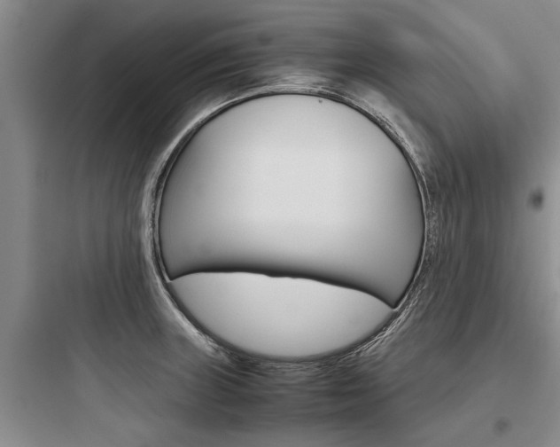 X0000097961235200803241034