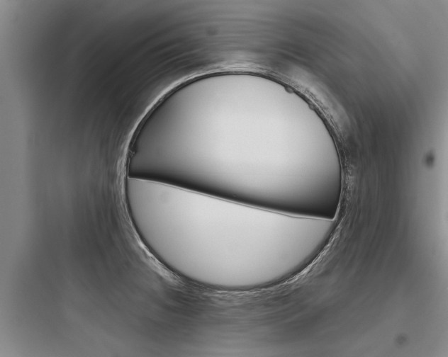 X0000097961236200803241034