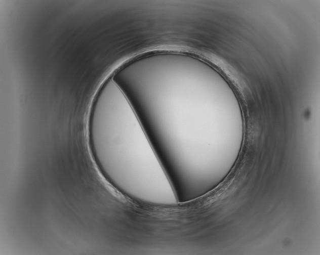 X0000097961237200803241034