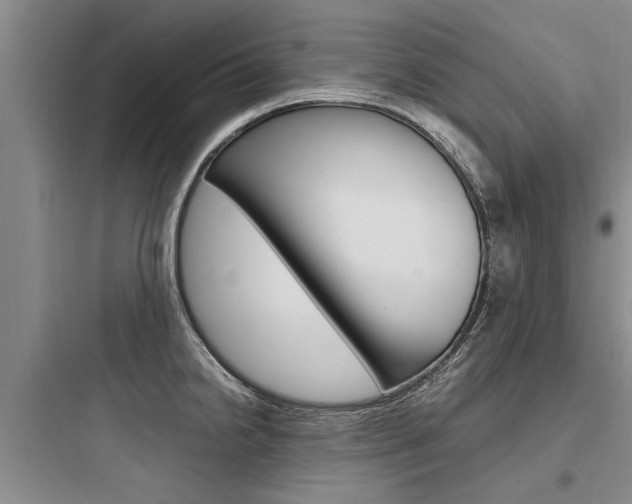 X0000097961238200803241034