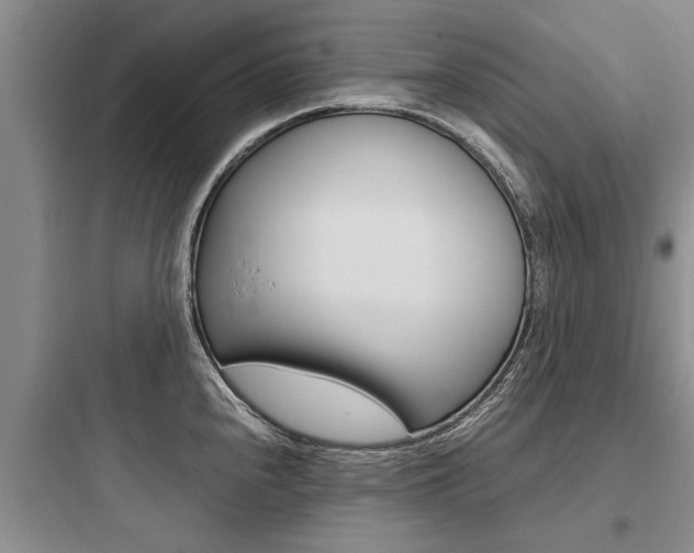 X0000097961240200803241034