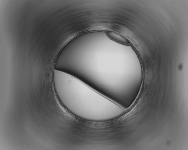 X0000097961241200803241034