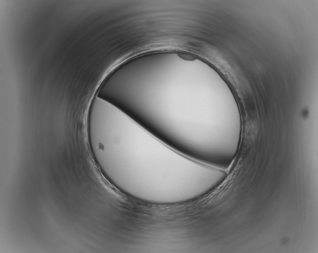 X0000097961242200803241034