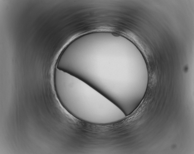 X0000097961243200803241034