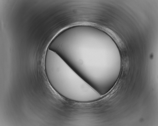 X0000097961244200803241034