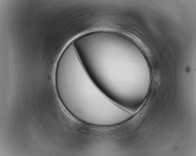 X0000097961246200803241034