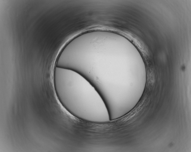 X0000097961247200803241034