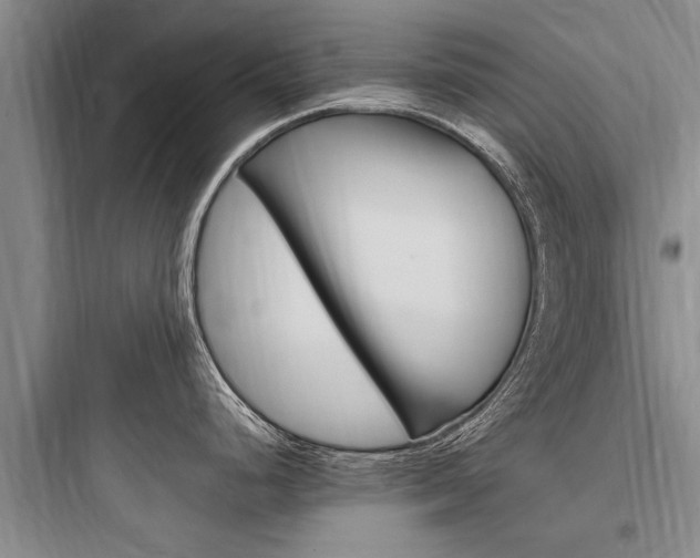 X0000097961248200803241034