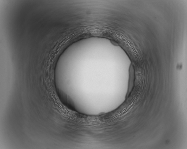 X0000097961249200803241033