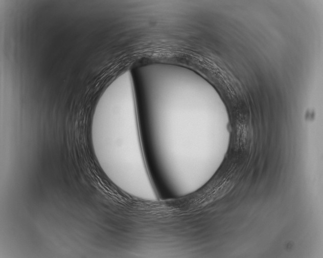 X0000097961250200803241033
