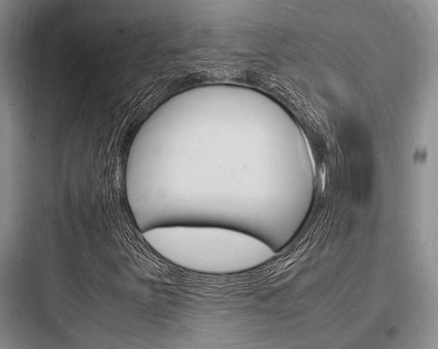 X0000097961251200803241033