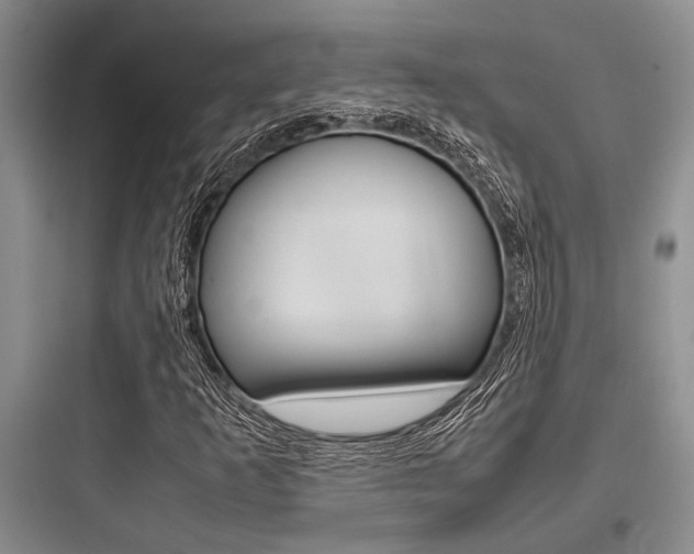 X0000097961253200803241033