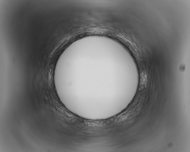 X0000097961254200803241033