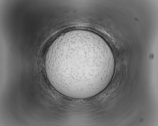 X0000097961255200803241033