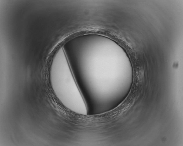 X0000097961256200803241033