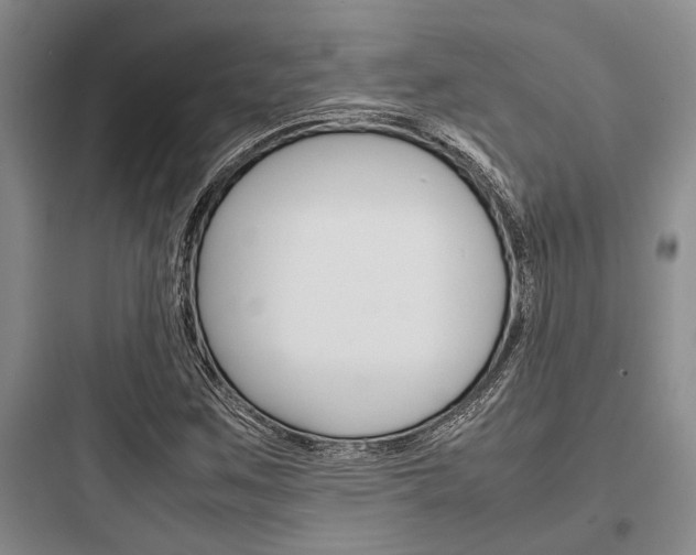 X0000097961259200803241033