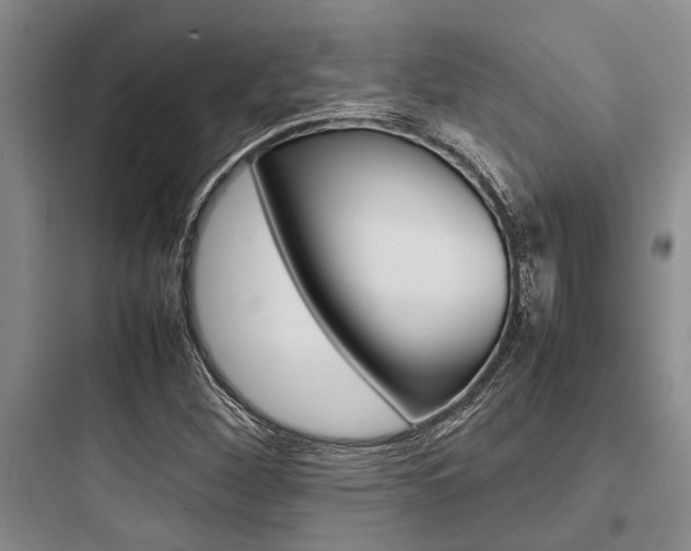 X0000097961260200803241033