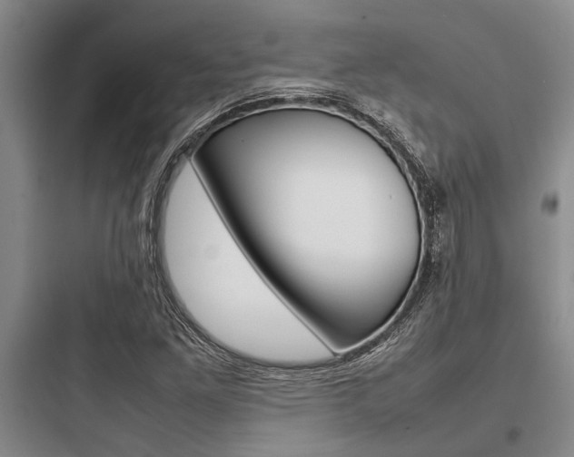 X0000097961261200803241033