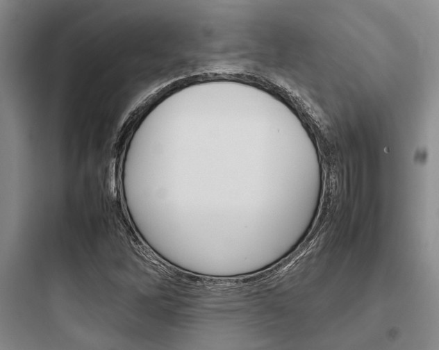 X0000097961262200803241033