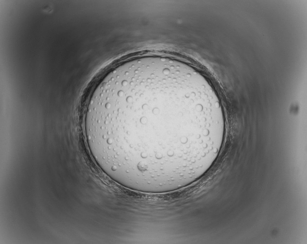 X0000097961263200803241033