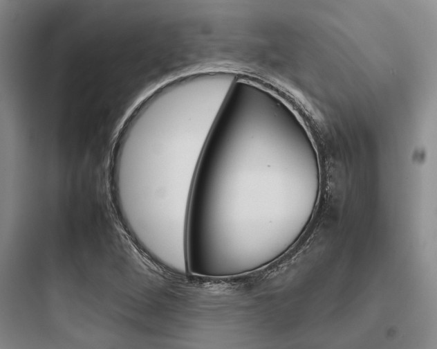 X0000097961264200803241033