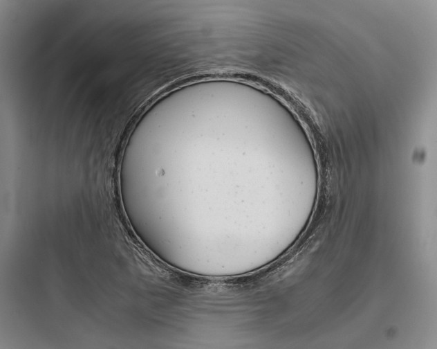 X0000097961265200803241033