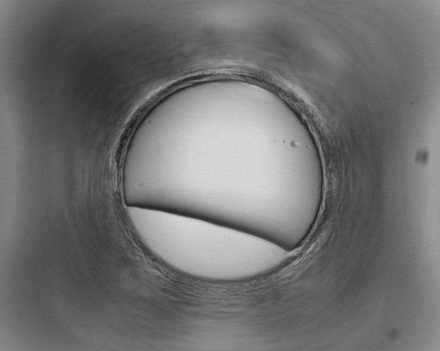 X0000097961267200803241033