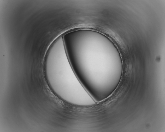 X0000097961268200803241033