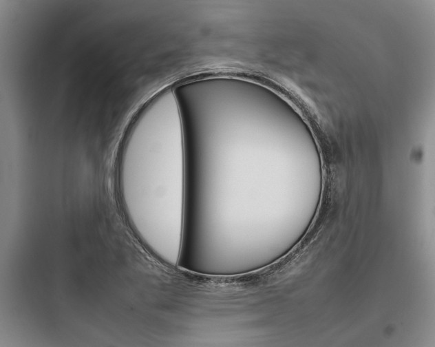 X0000097961269200803241033