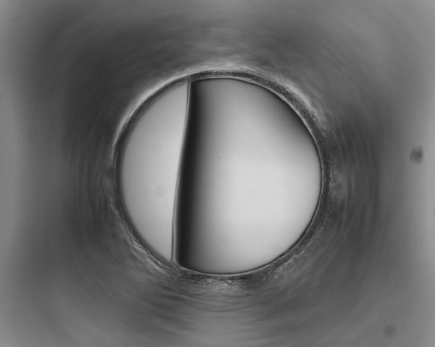 X0000097961270200803241033