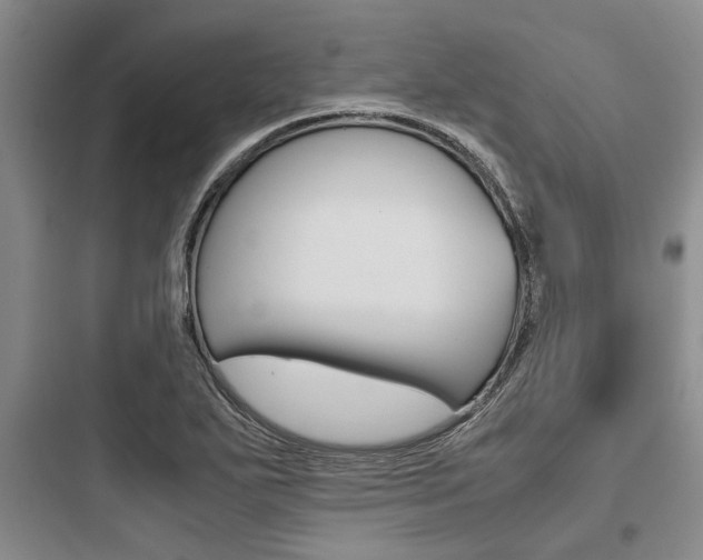 X0000097961271200803241033