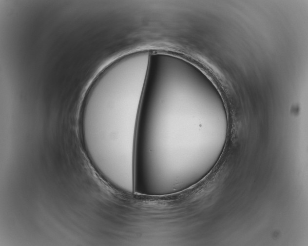 X0000097961272200803241033