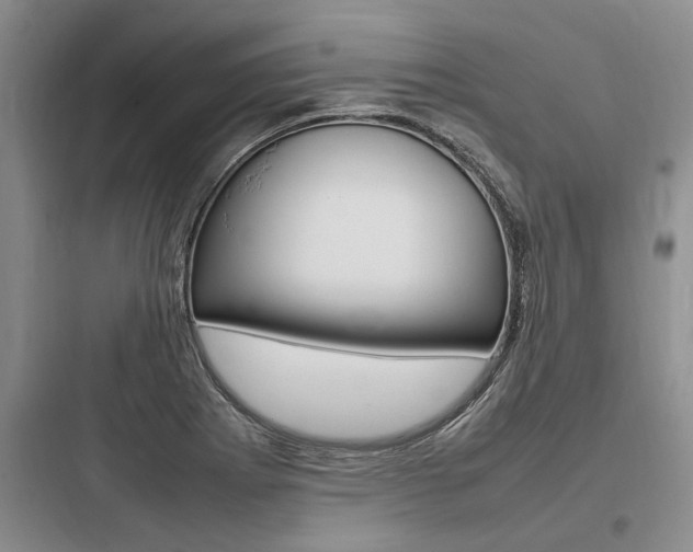 X0000097961273200803241033