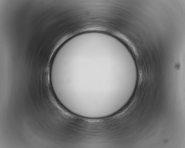 X0000097961274200803241033