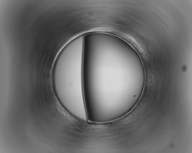 X0000097961276200803241033