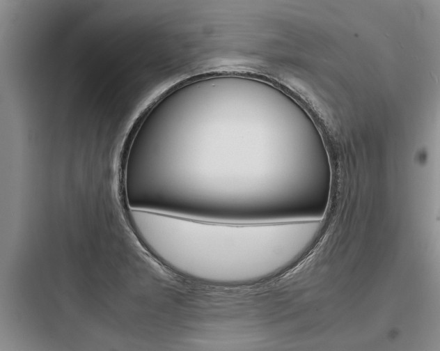 X0000097961277200803241033
