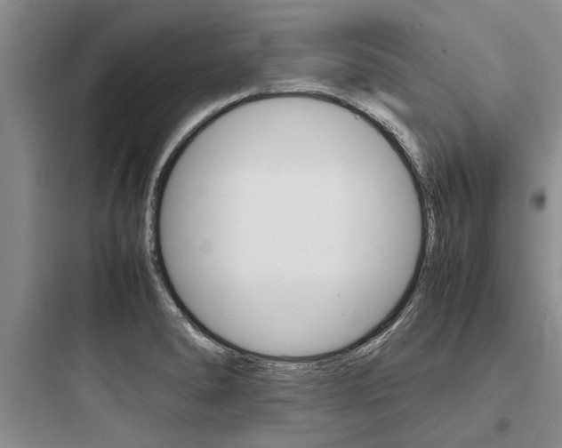 X0000097961278200803241033