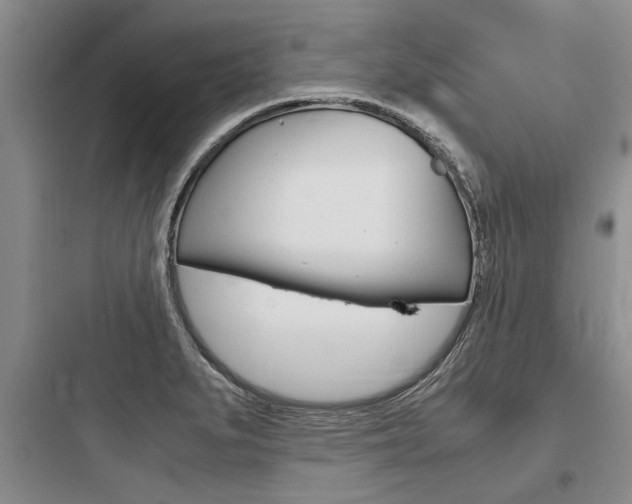 X0000097961279200803241033