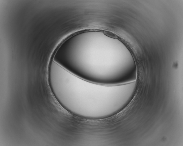 X0000097961280200803241033