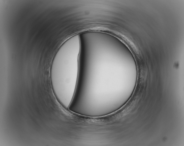 X0000097961281200803241033