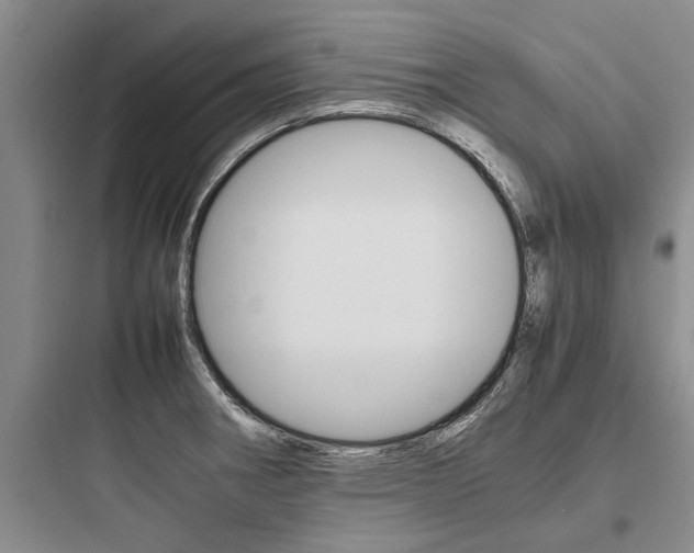X0000097961282200803241033