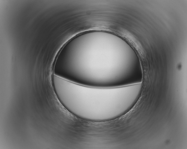 X0000097961284200803241033