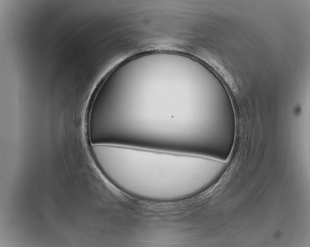 X0000097961285200803241033
