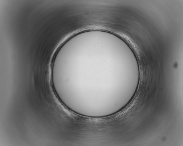 X0000097961286200803241033