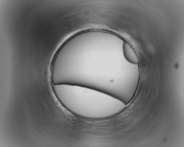 X0000097961287200803241033
