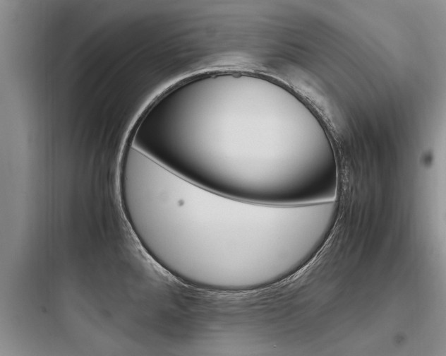 X0000097961288200803241033