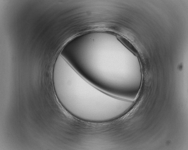 X0000097961289200803241033