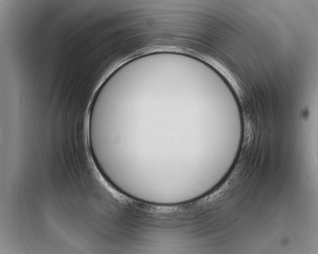 X0000097961290200803241033