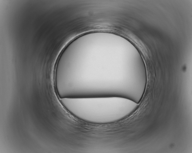 X0000097961291200803241033