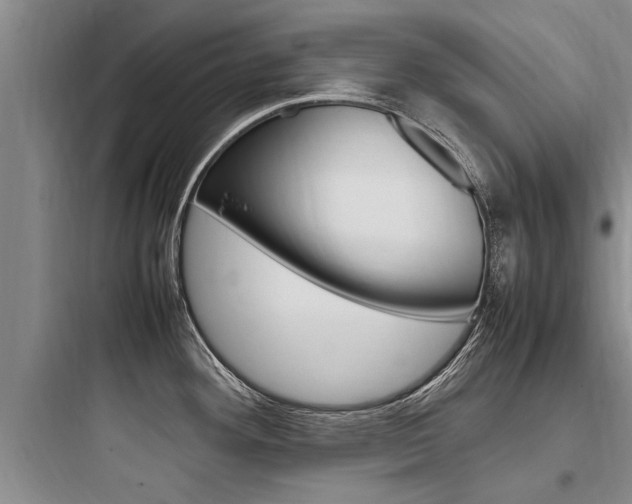 X0000097961292200803241033